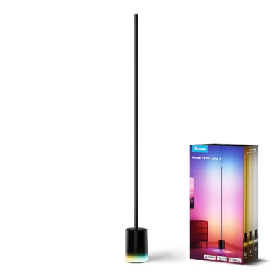Govee Floor Lamp 2