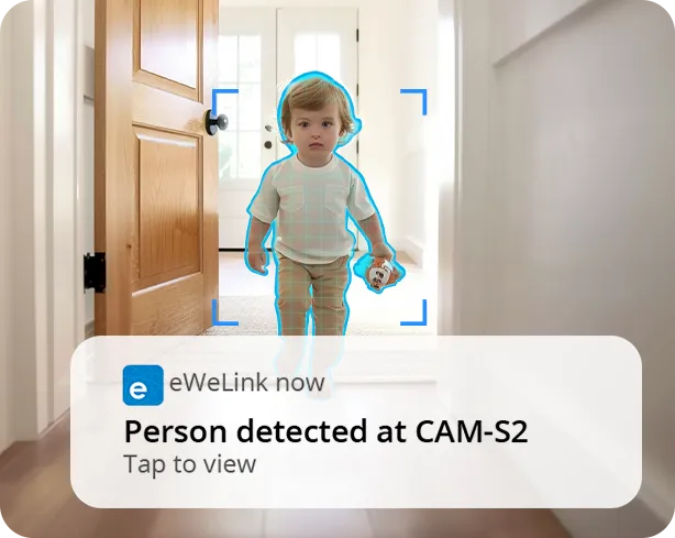 Sonoff Camera Detection