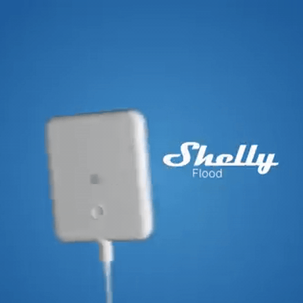 Shelly Flood Gen4 view 2