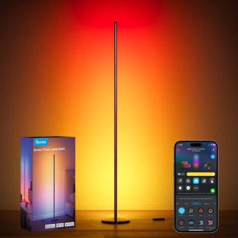 Govee Floor Lamp Basic Matter Compatible
